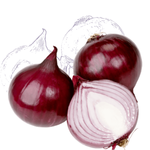 Onion